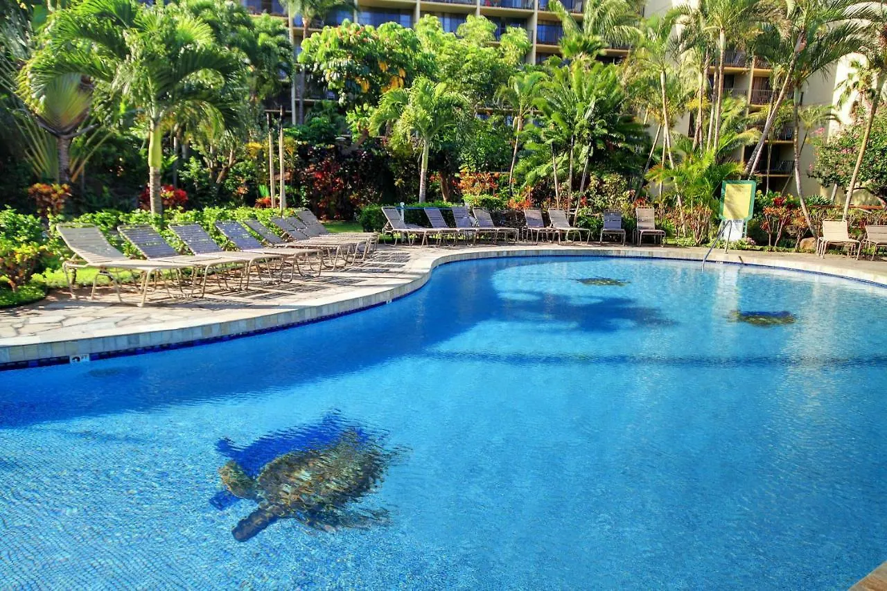 Kaanapali Shores 806