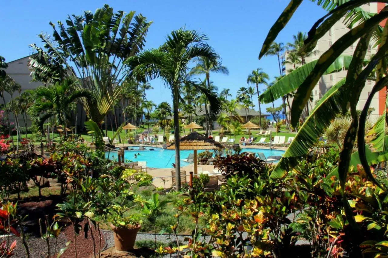Apartment Kaanapali Shores 806